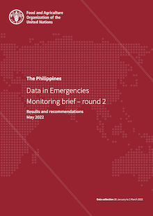 The Philippines | Data in Emergencies Monitoring brief – round 2